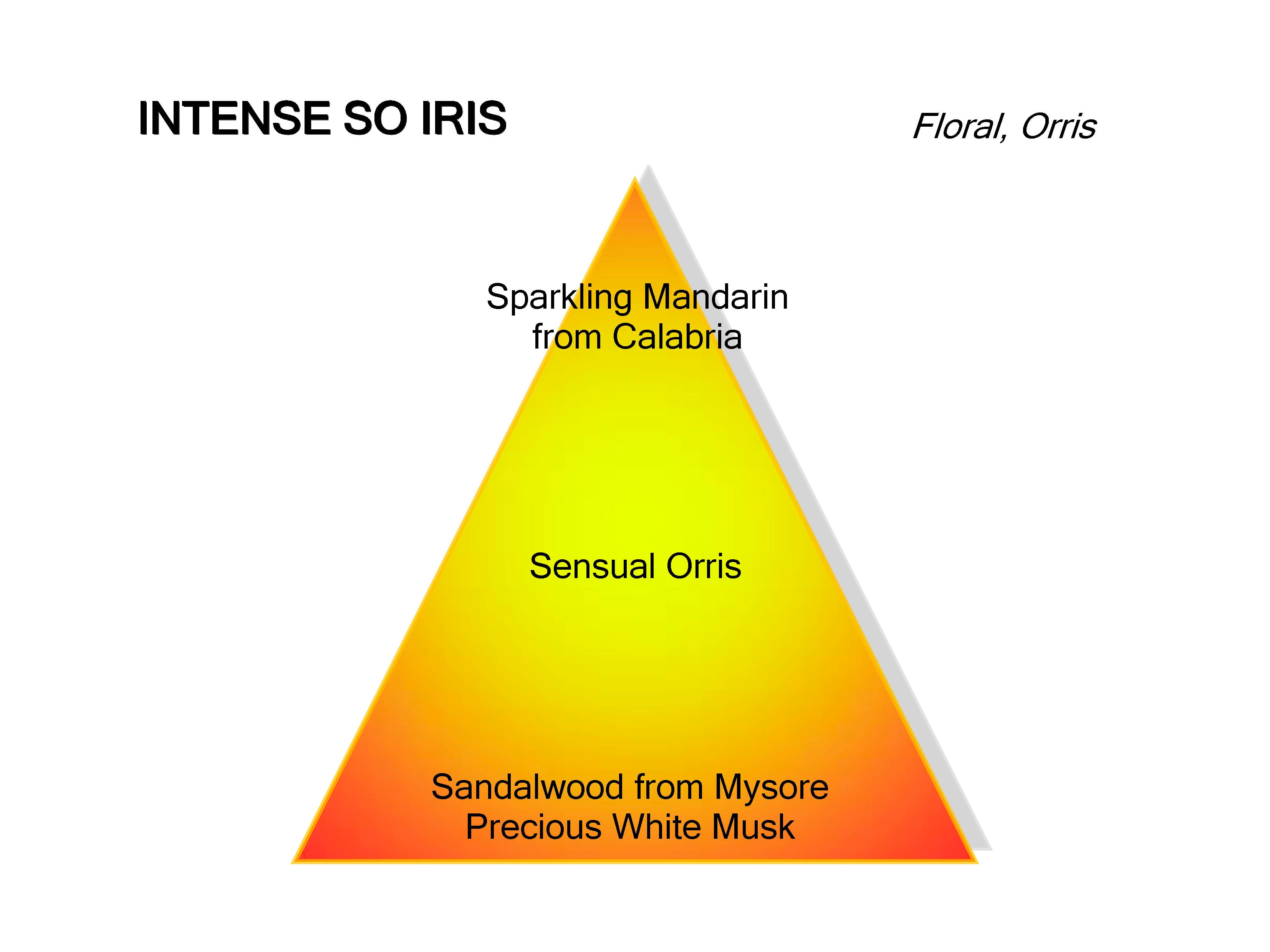 Intense so Iris アントンス ソー アイリス