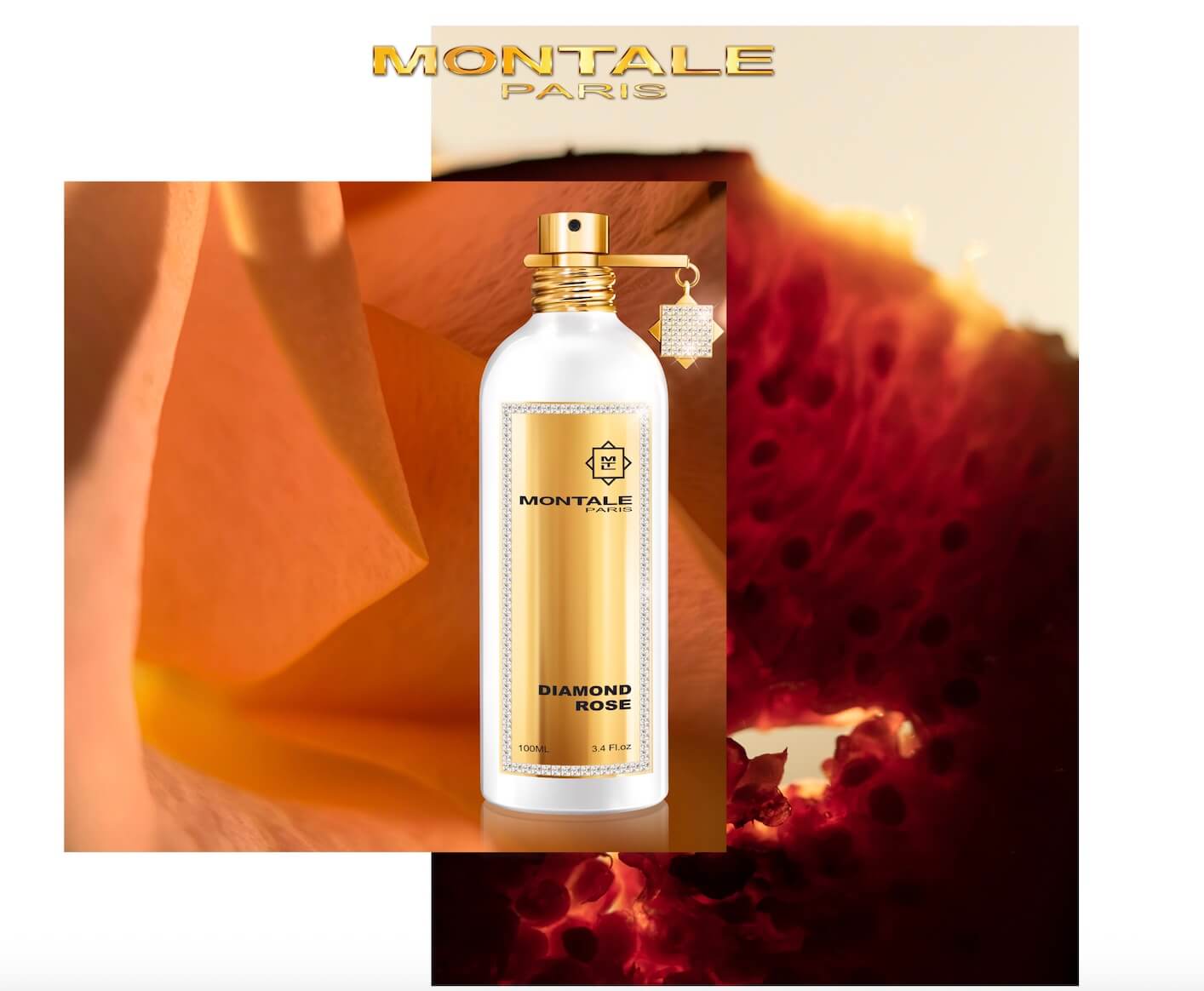 【数量限定】Diamond Rose ダイヤモンド ローズ