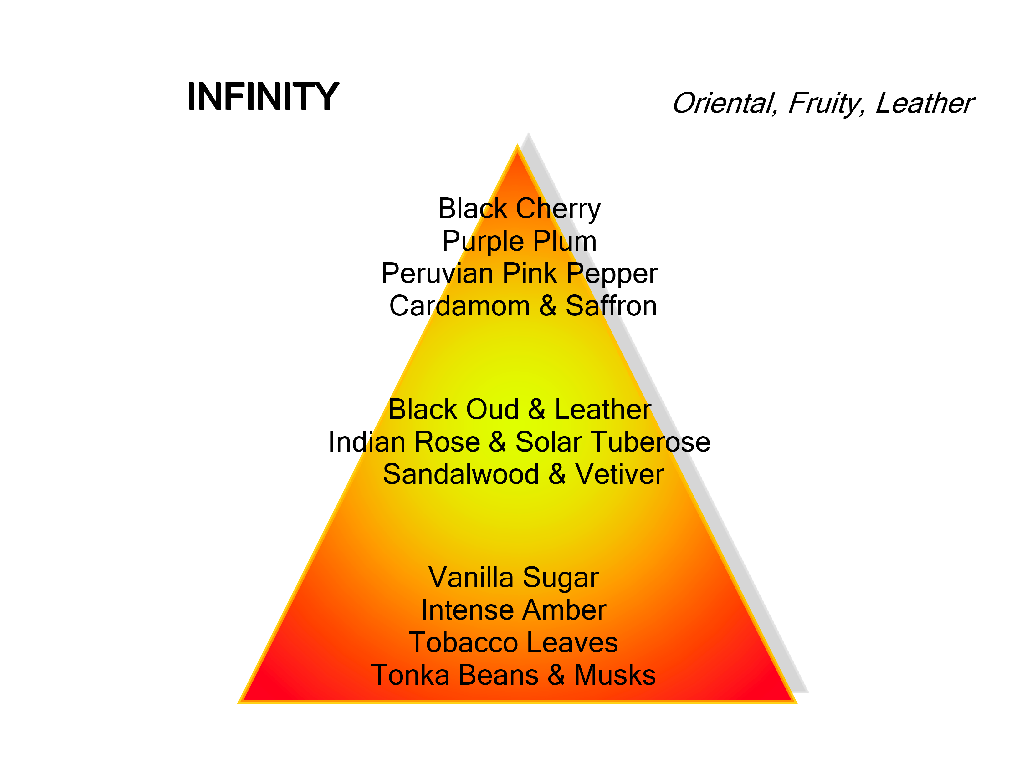 【数量限定】Infinity インフィニティー